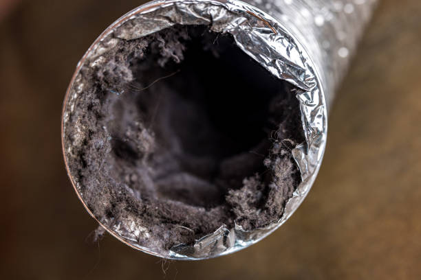 Best Local Air Duct Cleaning Services  in Olney, TX