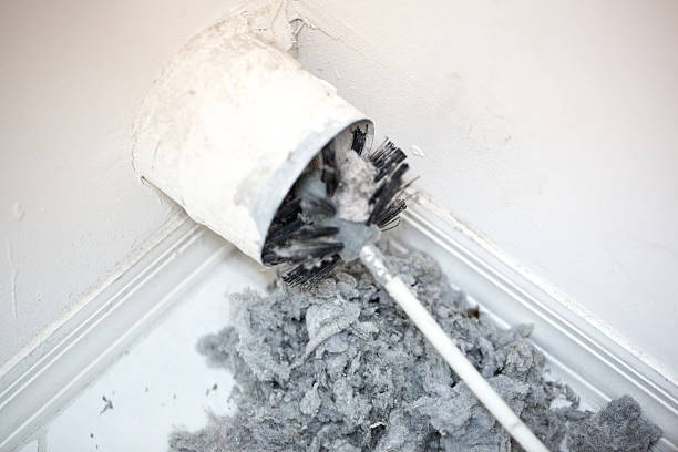 Air Duct Mold Removal in Olney, TX